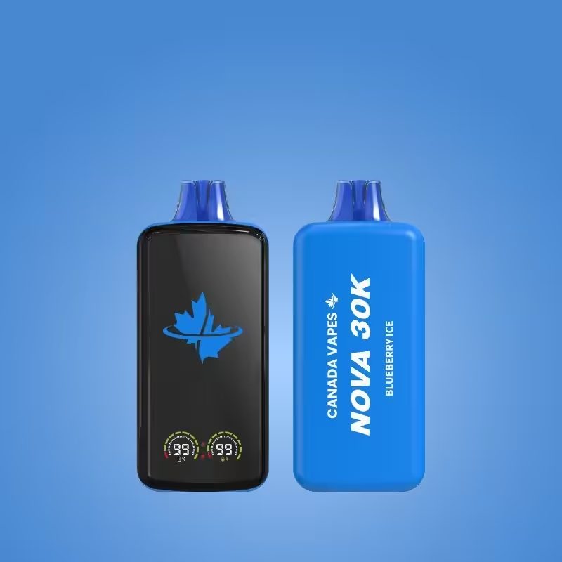 blueberry flavoured disposable vapes canada vapes