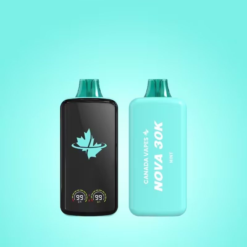 mint flavoured disposable vapes canada vapes